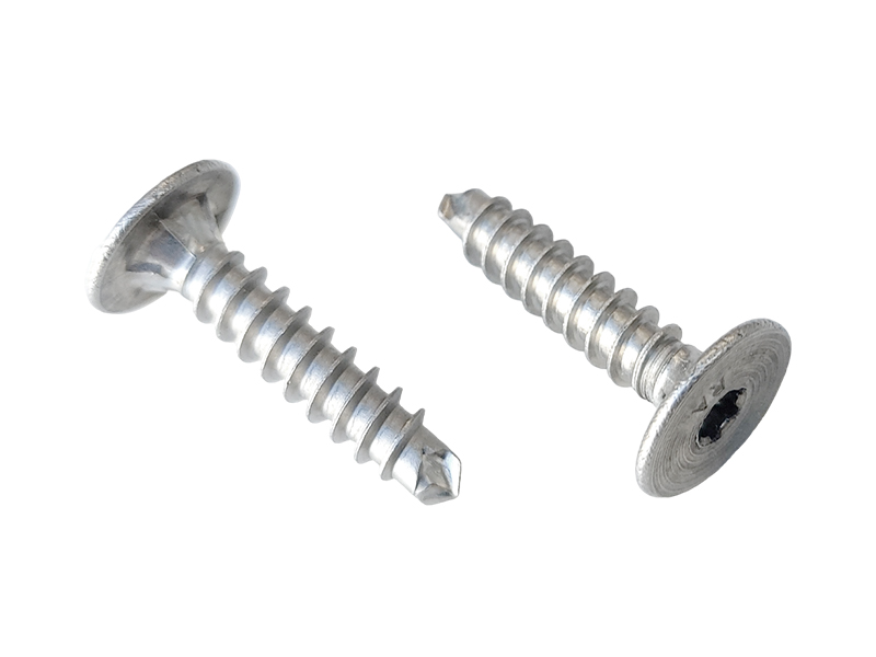 REES STAINLESS STEEL CLIP SCREWS