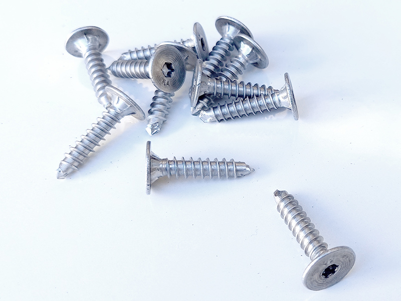 REES STAINLESS STEEL CLIP SCREWS - Image 2