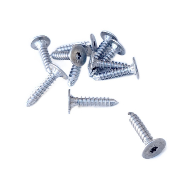 SAMPLE PACK – REES STAINLESS STEEL CLIP SCREWS